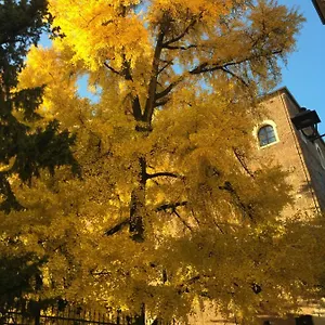 Frühstückspension Residenza Ermanni, Verona